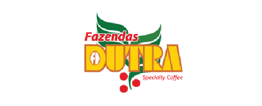 Prancheta 2_13logo_top